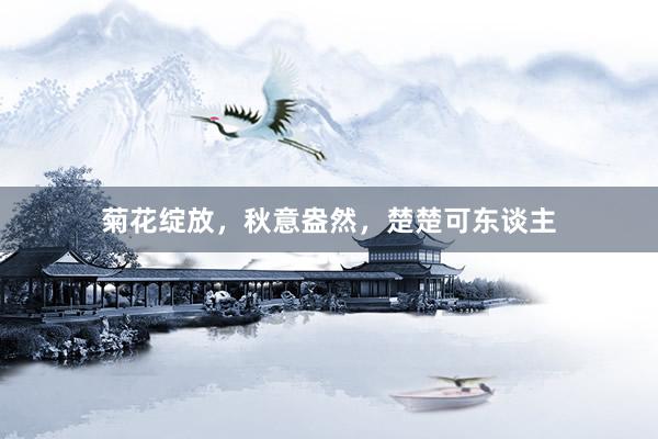 菊花绽放，秋意盎然，楚楚可东谈主