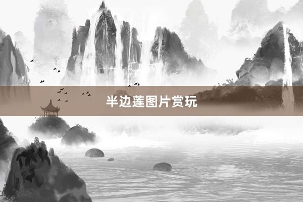 半边莲图片赏玩