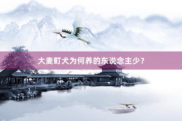 大麦町犬为何养的东说念主少？