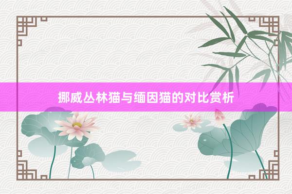 挪威丛林猫与缅因猫的对比赏析