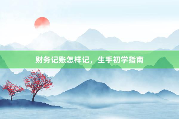 财务记账怎样记，生手初学指南